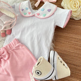 Corações coloridos c/borda roda